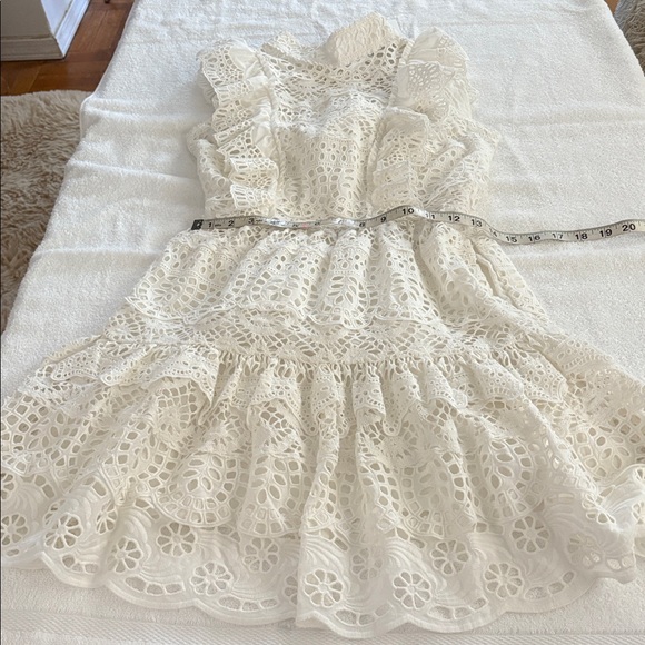 NWT Sea New York from Free People White Lace Eyelet beautiful sleeveless dress. - Picture 10 of 14